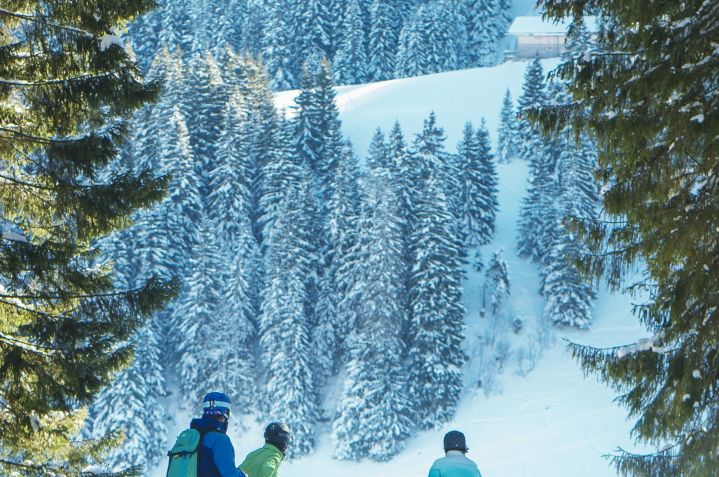 Alpenbahnen Spitzingsee- Fotograf - Dietmar Denger (4)