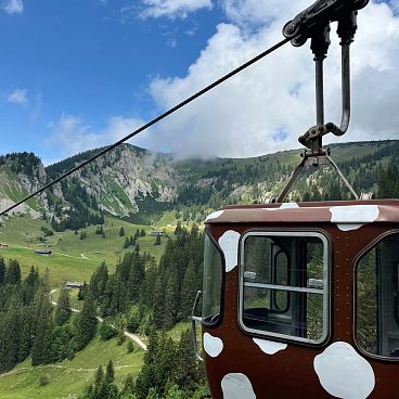 2024-taubensteinbahn-kuh-julia-keck-3